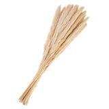30Pcs Pampas Grass,17" Fake Pampas Grass for Wedding Decoration,Beige Pampas Grass
