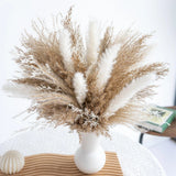 Fluffy Dired Reed Grass, Boho Decor, Pampas Grass Bulk, Dried Flowers for Weddin Pampas Grass