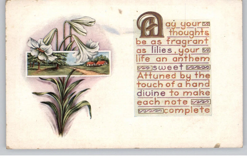 Vintage 1919 Fragrant Lilies Floral Postcard Lily
