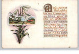 Vintage 1919 Fragrant Lilies Floral Postcard Lily