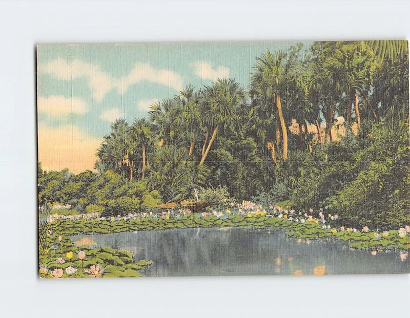 Water lily floral landscape postcard with pond lilies and palm trees