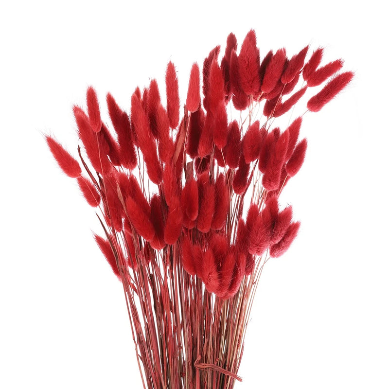 Red bunny tail dried flower stems, fluffy faux pampas grass bundle