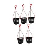 5x Orchid Hanging Planters Practical Planter Container for Home Garden Patio Garden Plants