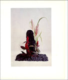 1965 Vintage Print Japanese Ikebana Style Flower Floral Cocksomb Pampas Grass Pampas Grass