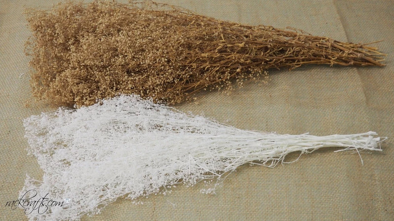 Natural dried baby's breath flower bunch, white and brown branches