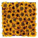 24"x24" "Sunflowers" Silk flowers in Glittery Chocolate Frame Original Artwork Sunflower
