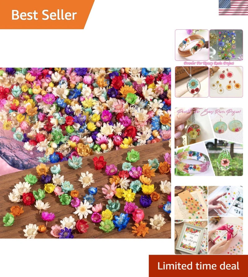 Bulk tiny pressed dried flowers, assorted multicolor craft mix on a board