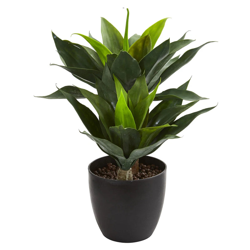 Faux agave plant with pointed green leaves in matte black pot