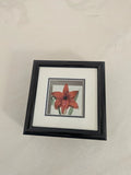 Berting Glass framed Prairie Lily glass flower, Saskatchewan, Canada, Jacqueline Lily