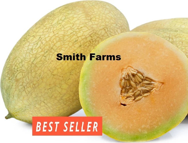 10+ Seeds Fortune Melon Cantaloupe Easy Vegetable Garden Planting Edible Garden Plants