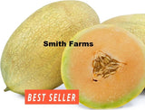 10+ Seeds Fortune Melon Cantaloupe Easy Vegetable Garden Planting Edible Garden Plants