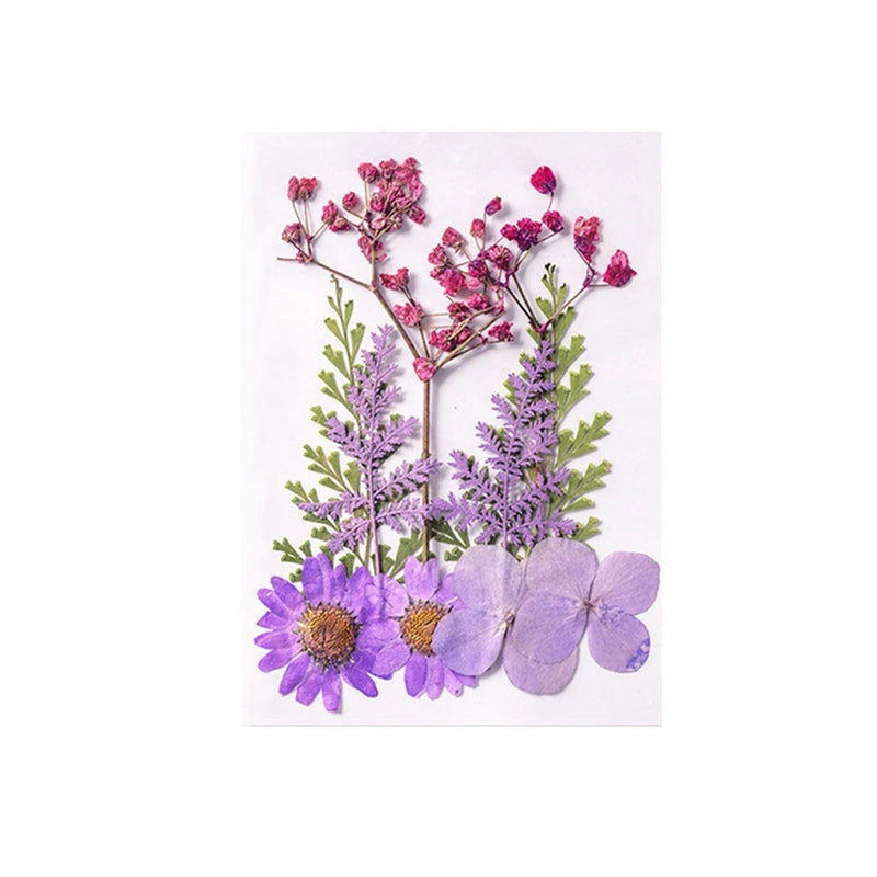 Dried floral material pack with purple, lavender, and pink flowers and stems