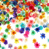 420 Pcs Small Dried Flowers for Crafts, Mini Dried Flowers Dried Flower