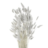 120pcs Natural Bunny Tails Dried Flowers 24" Mini Pampas Grass, Grey Pampas Grass