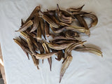 Lot Of 40 Oven Dried Okra Pods Suitable For Primitive Crafts Dried Flower
