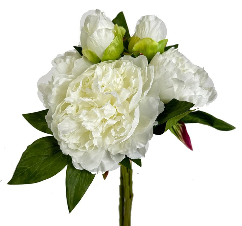 Artificial cream peony bouquet with tied stems and green leaves, white blooms