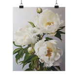 White Peony Flowers Poster, White Flower Art Print, Floral Artwork 18 Peony