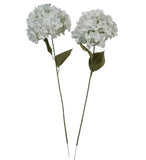 2 pcs Cream Hydrangea 7" Large Bloom 24" Long Stem Silk Flower Home Decor BP2270 Hydrangea