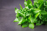 1500 LEMON BASIL Ocimum Basilicum HERB Flower Seeds Flowering Plants