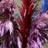 PAMPAS- Box of 10 X (36Ó) pampas grass stems Red/Blue/Green/Gold/Purple/Yellow Pampas Grass