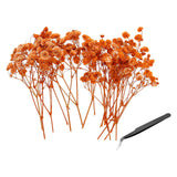 30 Pcs Dried Gypsophila Flower 4" Orange Pressed Flowers with Tweezer Dried Flower