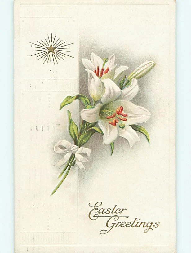Divided-Back easter BEAUTIFUL EASTER LILY FLOWERS : make an offer r3043 Lily
