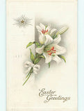 Divided-Back easter BEAUTIFUL EASTER LILY FLOWERS : make an offer r3043 Lily