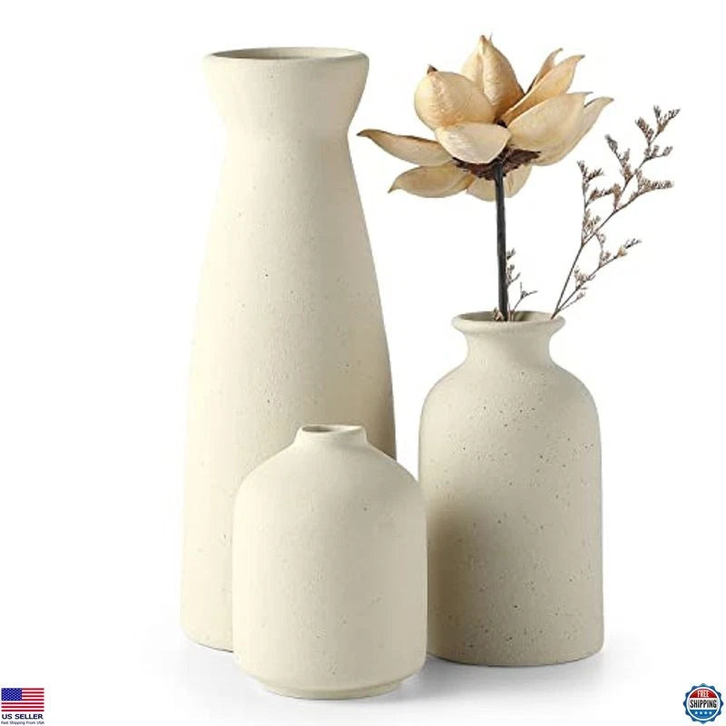 Beige Ceramic Vase Set of 3 - Modern Boho Decor for Dried Flowers & Pampas Grass Pampas Grass