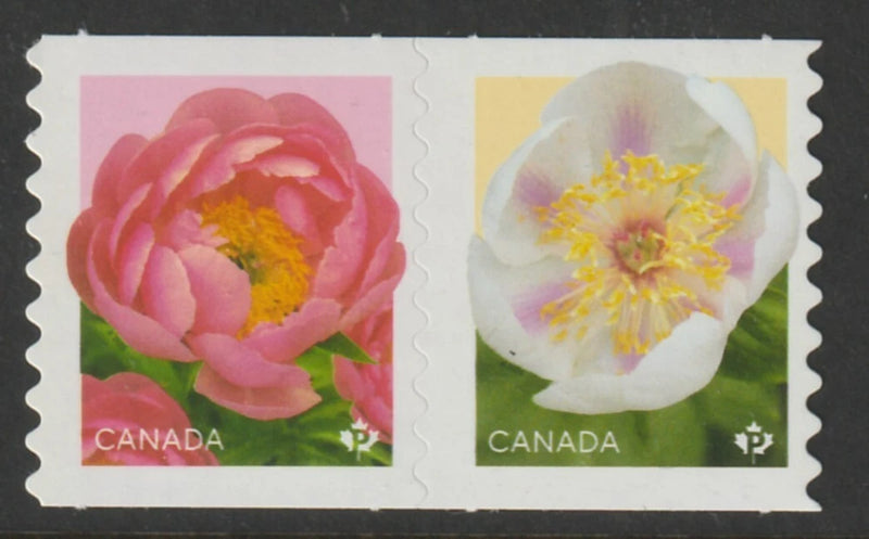 Canada peony stamps se-tenant pair, die-cut from coil, pink and white flower designs