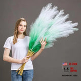 Pcs 45" Faux Pampas Grass Ð Fluffy Artificial Pompous Grass 7 Green Gradient Pampas Grass