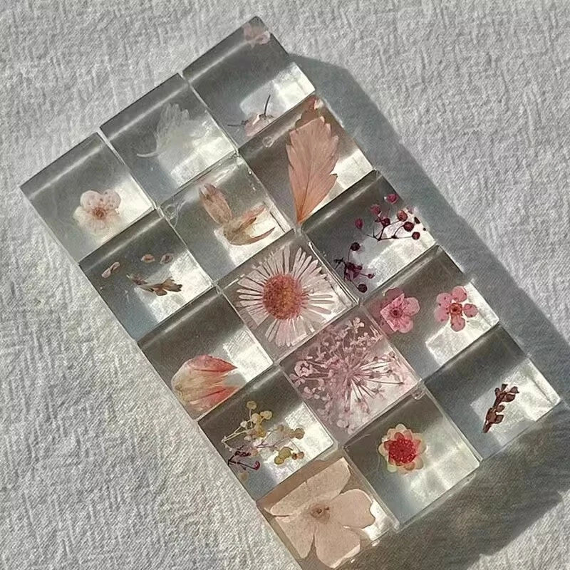 Resin dried flower specimen cubes, clear blocks with pressed blooms in a grid