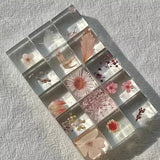 10PCS Resin Dried Flower Specimen Office Specimen Cube Gift Accessories Decor Dried Flower