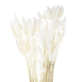 120pcs Natural Bunny Tails Dried Flowers 24" Mini Pampas Grass, White Dried Flower