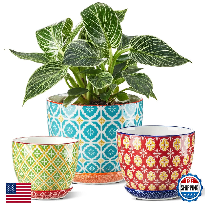 Metahom Ceramic Plant Pots, 3.8+4.9+5.8 Inch, Set of 3 Flower Pots with Drainage,kingsellerpro  98.9% positive (1.7K) Orchids