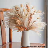 Pampas Grass Natural Dried Flowers Feather Bouquet Bunch Flowers for Home Decor Pampas Grass