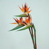 3pcs Artificial Bird Of Paradise Flowers Rubber Strelitzia 24.5'' Long Stem Flow Green Plant