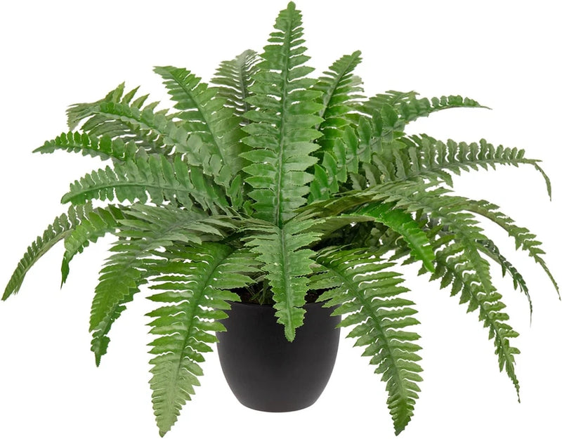 Small artificial Boston fern plant with green fronds in a dark pot