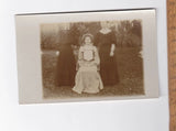 Vintage Edwardian Photograph Group In Garden Pampas Grass Home Photo? Postcard Pampas Grass