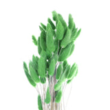 60pcs Natural Bunny Tails Dried Flowers 24" Mini Pampas Grass, Dark Green Dried Flower