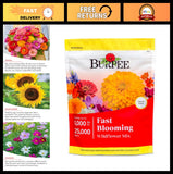 25,000 Non-GMO Wildflower Seed Mix - 14 Easy Grow Flower Varieties for Garden Garden Plants