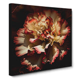 Carnation Flower Abstract Expressionism Canvas Wall Art Print Framed Home Decor Carnation