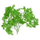 10g Mini Dried Hydrangea Flower Natural Pressed Flower Real Hydrangeas Green Dried Flower