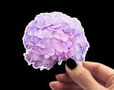 HYDRANGEA FLOWER STICKER WATERPROOF VINYL CUSTOM DECAL GIFT Hydrangea