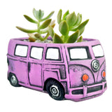 Cute Succulent Plants Pots Small Planter Pots with Drainage Hole Flower Pots ... Garden Plants