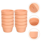 10 Pcs Large Flower Pot Germination Pots Garden Creative Succulent Garden Plants