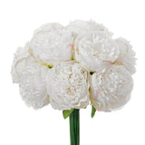 Set of 10 white artificial peony-style silk flowers with green stems