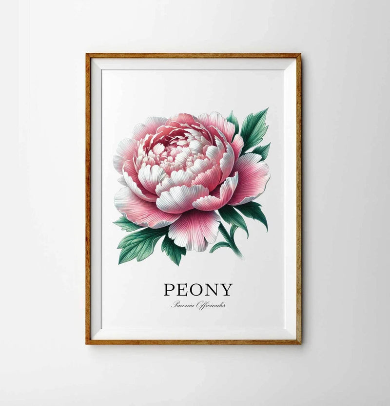 Peony flower illustration print in a wooden frame, pink blooms with green leaves