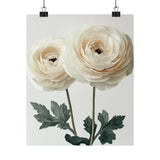 Boho White Ranunculus Flower Art Print Poster, Minimalist Floral Wall Art 3 Ranunculus