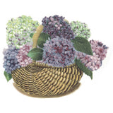 Flowers Hydrangea Basket Overglaze Ceramic Decals Hydrangea
