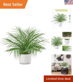 Large Artificial Potted Plants Fake Palm Plants 19" Faux Green Plant Plastic ... Green Plant